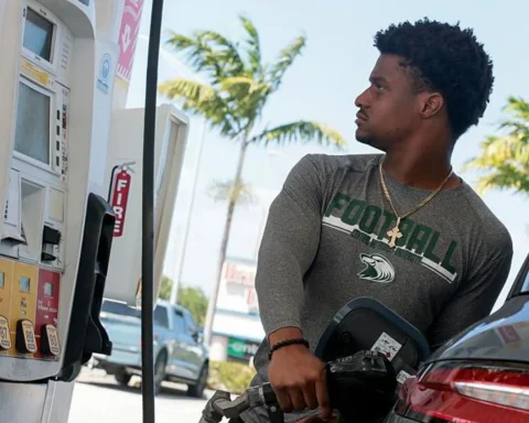 oil prices fall